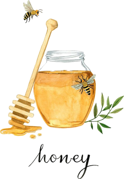 Мед рисунок