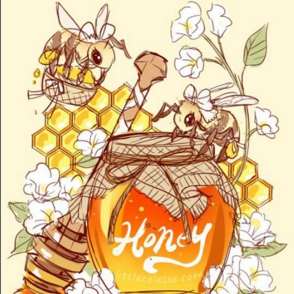 Винни пух и его друзья мед