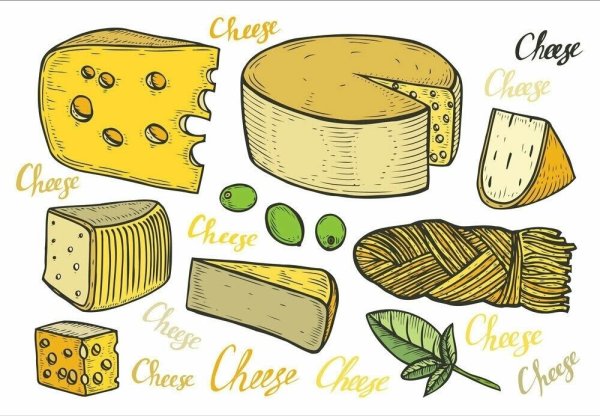 Сыр в разрезе вектор