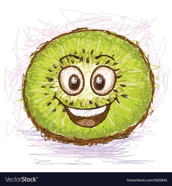 Киви рисунок