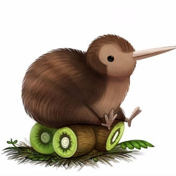 Птица киви и фрукт киви