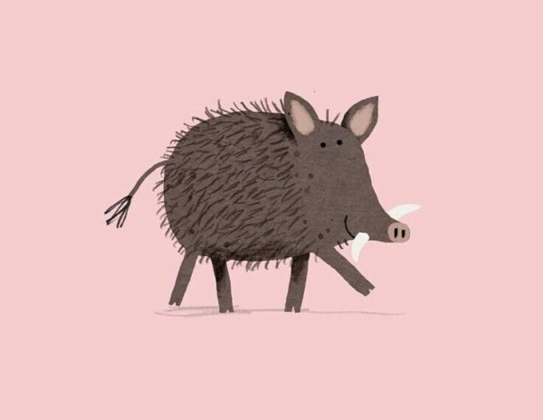 Милые рисуночки кабанчиков