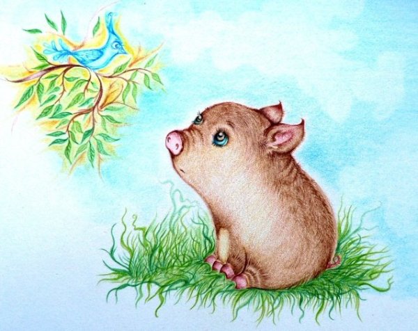 Рисунок мини пига