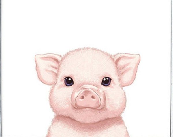 Милый поросенок арт