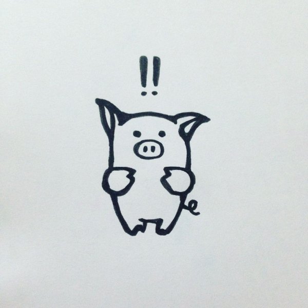 Свинья цветными карандашами