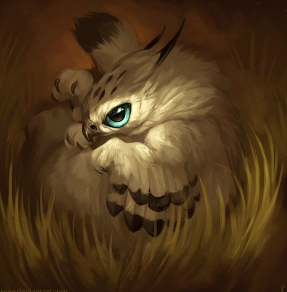 Кот Баюн Совиный лес