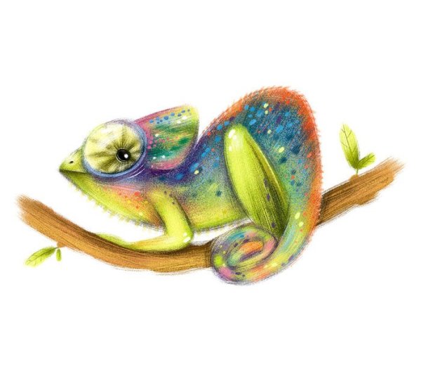 Смешной хамелеон рисунок