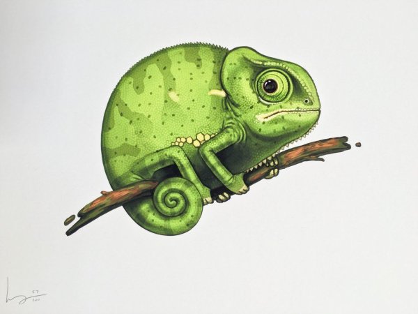 Хамелеон арт милый