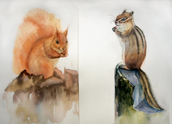 Бурундук стилизация