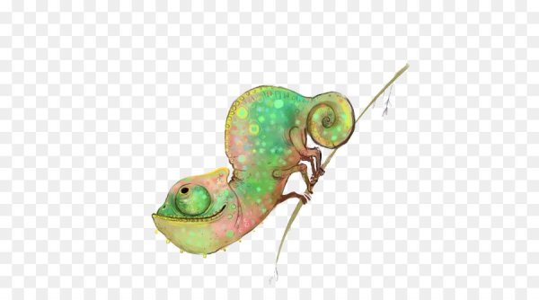 Хамелеоны арт милые