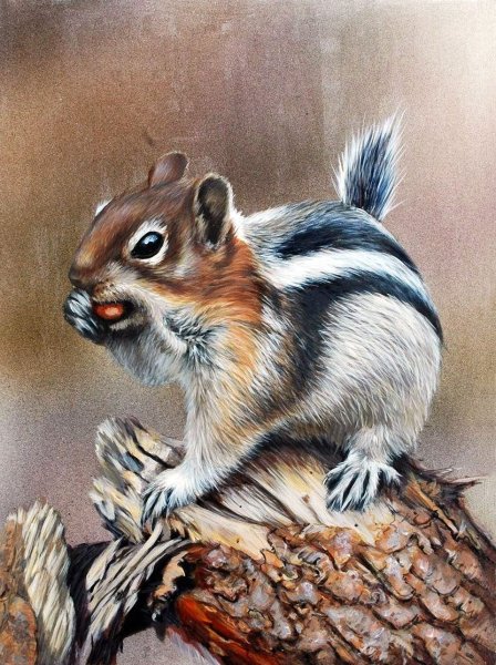 Бурундучок Теодор