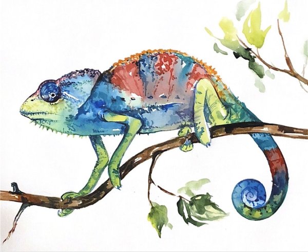 Игуана акварель