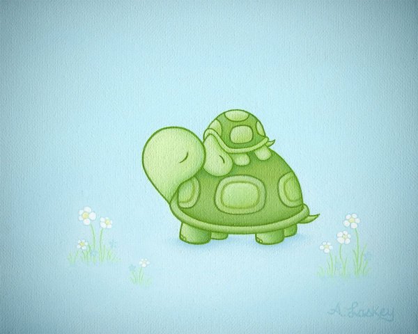 Черепашка арт