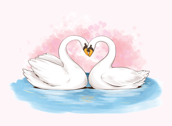 Нарисовать лебедей на свадьбу