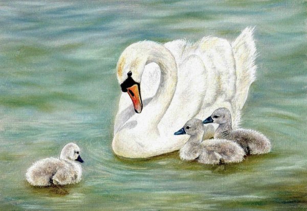 Лебеди с лебедятами узор