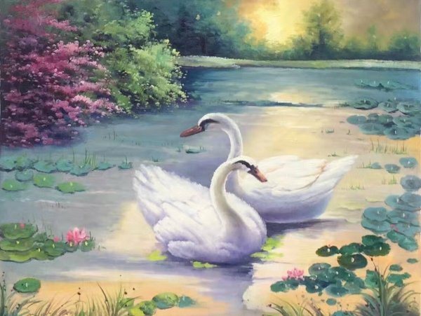 Живопись лебеди на озере