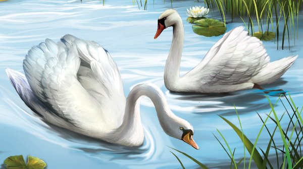 Лебедь для детей