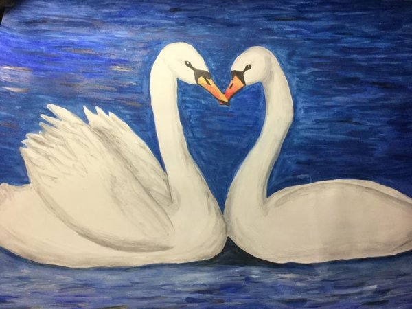 Лебедь рисунок карандашом