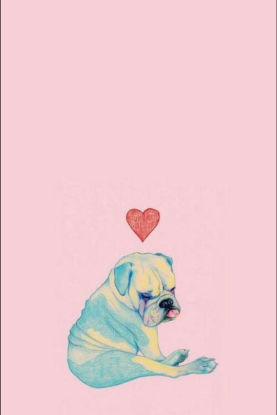 Щенок на розовом фоне