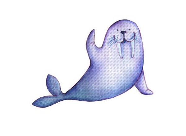 Морж акварель