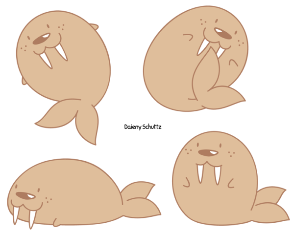 Милые рисунки моржа