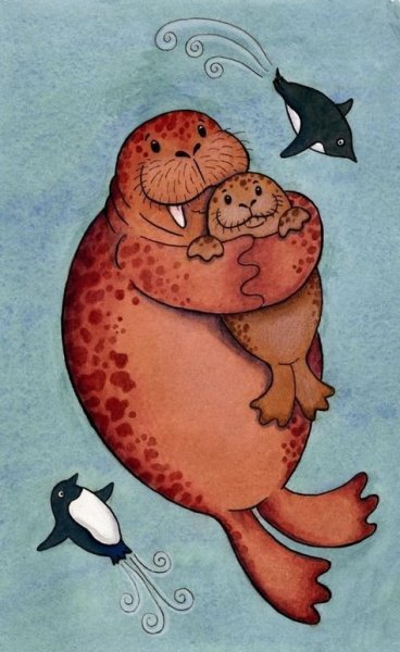 Морской котик иллюстрация