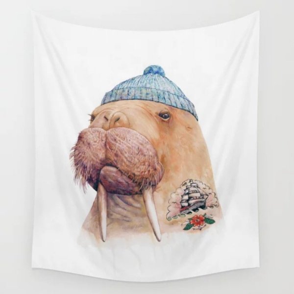 Морж рисунок