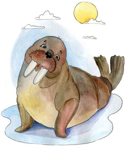 Морж для срисовки