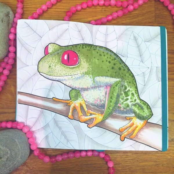 Лягушка фломастерами