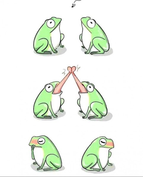 Лягушки мультяшные прикольные