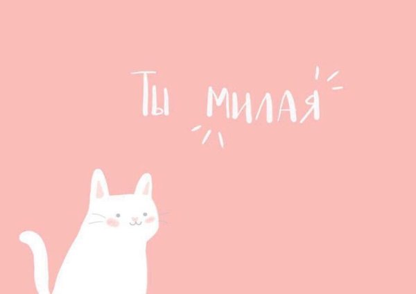 Мотивирующий котик