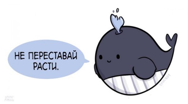 Милые мотивации