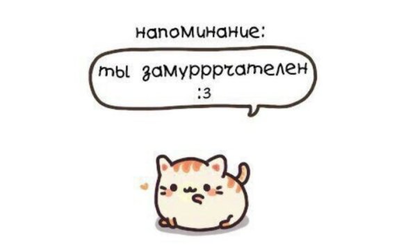 Мотивирующий котик