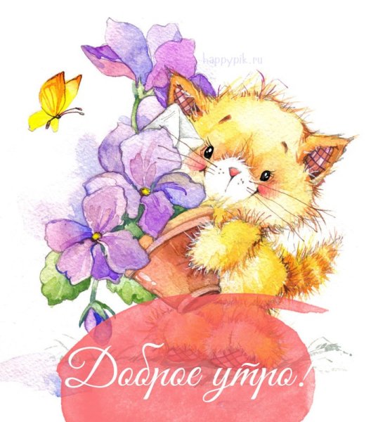 Доброе утро зверюшки