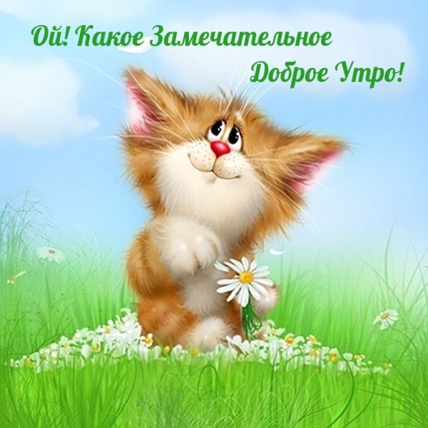 Веселые открытки