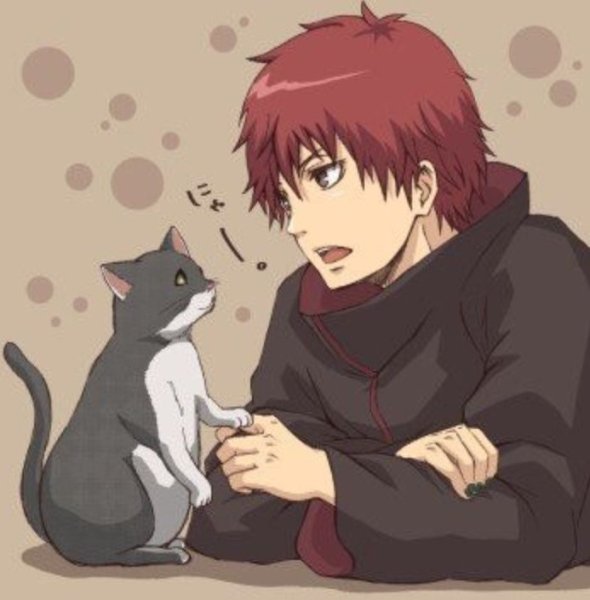 Акасуна и Гаара