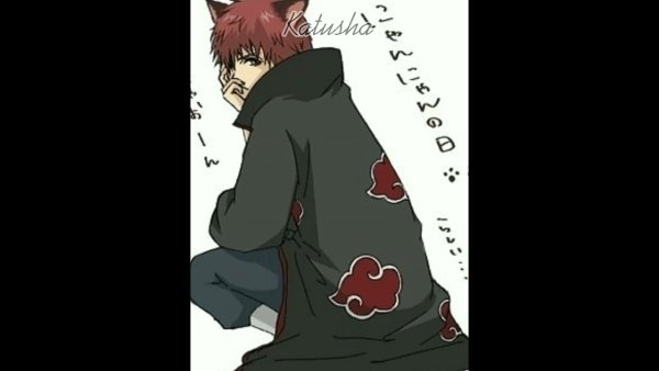 Сасори котенок