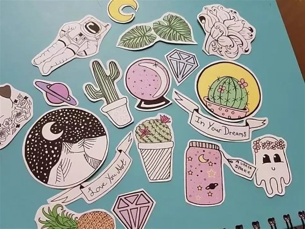 Дудлы кактусы и Суккуленты