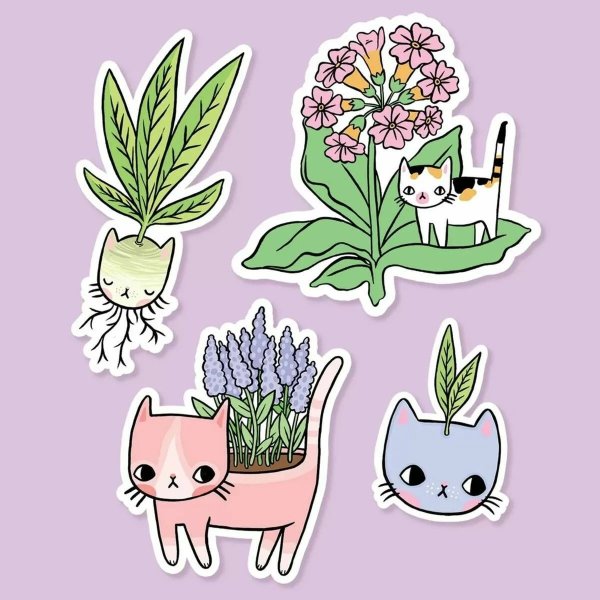 Миникатрточки с рисунками.