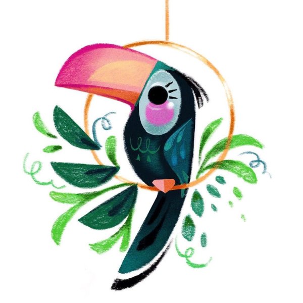 Милые туканы