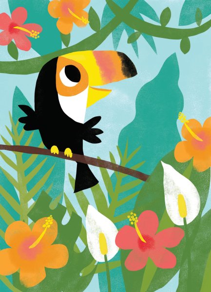 Тукан детский