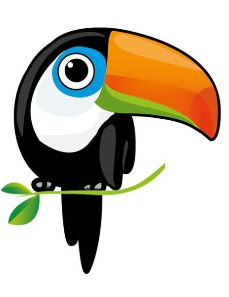 Тукан рисунок