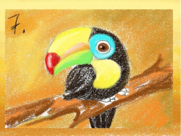 Тукан пастелью