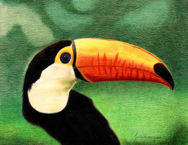 Оскар Бланко Тукан