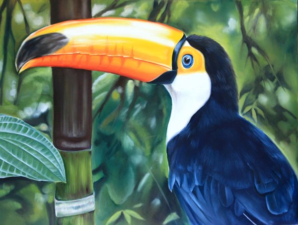 Тукан Эмоушен