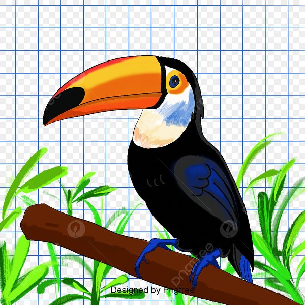 Тукан птица мультик