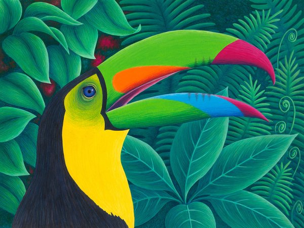 Экзотические птицы рисунки