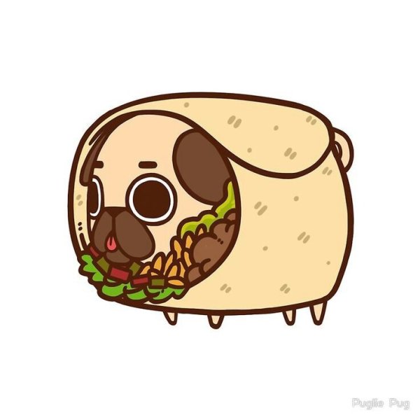 Кавай Мопс Puglie