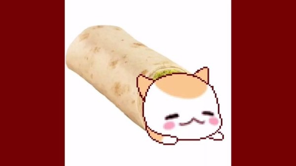 Кот в шаурме арт