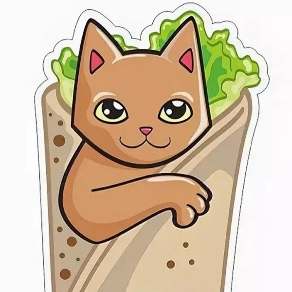 Шаурма из котят